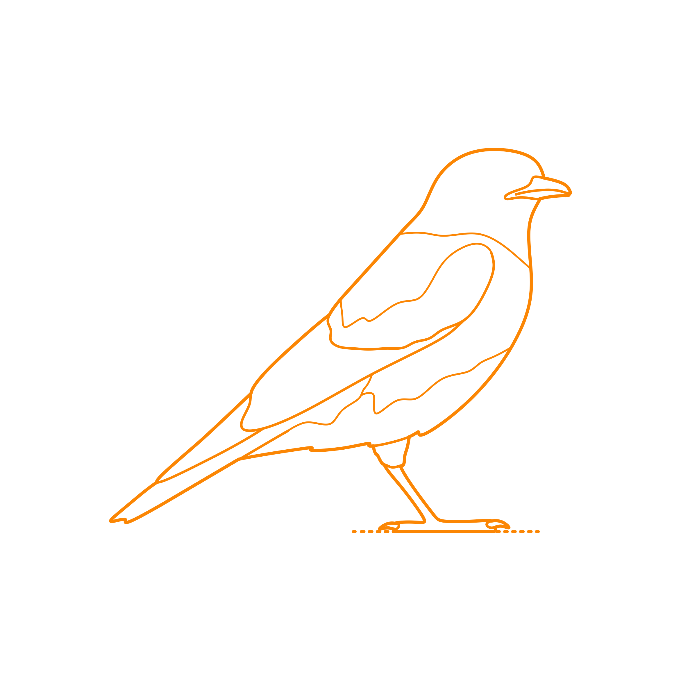 Animals Songbirds Western Bluebird Sticker Svg Vector Free Vectors